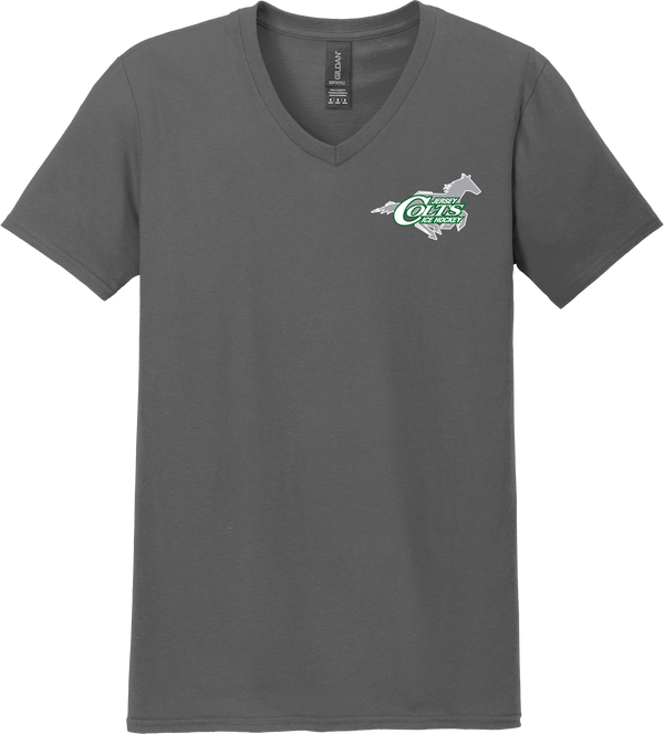 NJ Colts Softstyle V-Neck T-Shirt