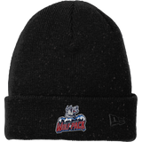 Hartford Jr. Wolfpack New Era Speckled Beanie