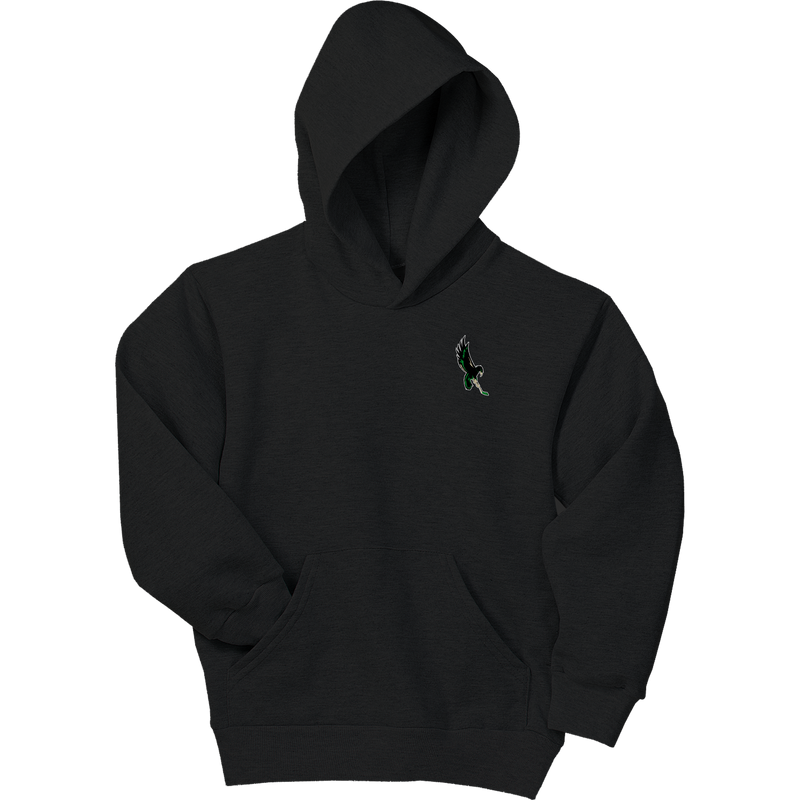 Wilmington Nighthawks Youth EcoSmart Pullover Hooded Sweatshirt