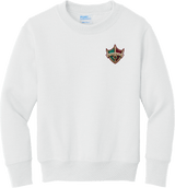 Delaware Ducks Youth Core Fleece Crewneck Sweatshirt